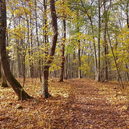 Gemuetliche Am Ortsrand * Kreuzwertheim